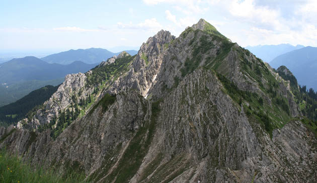 16_Feigenkopf_2128+29